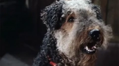 Собака з фільму пригоди електроніка: мрія про радянські діти